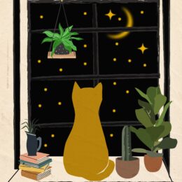cat in window beside books and plants
