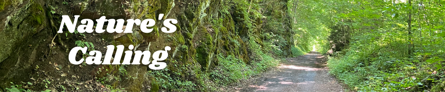 Nature's Calling virtual resource display