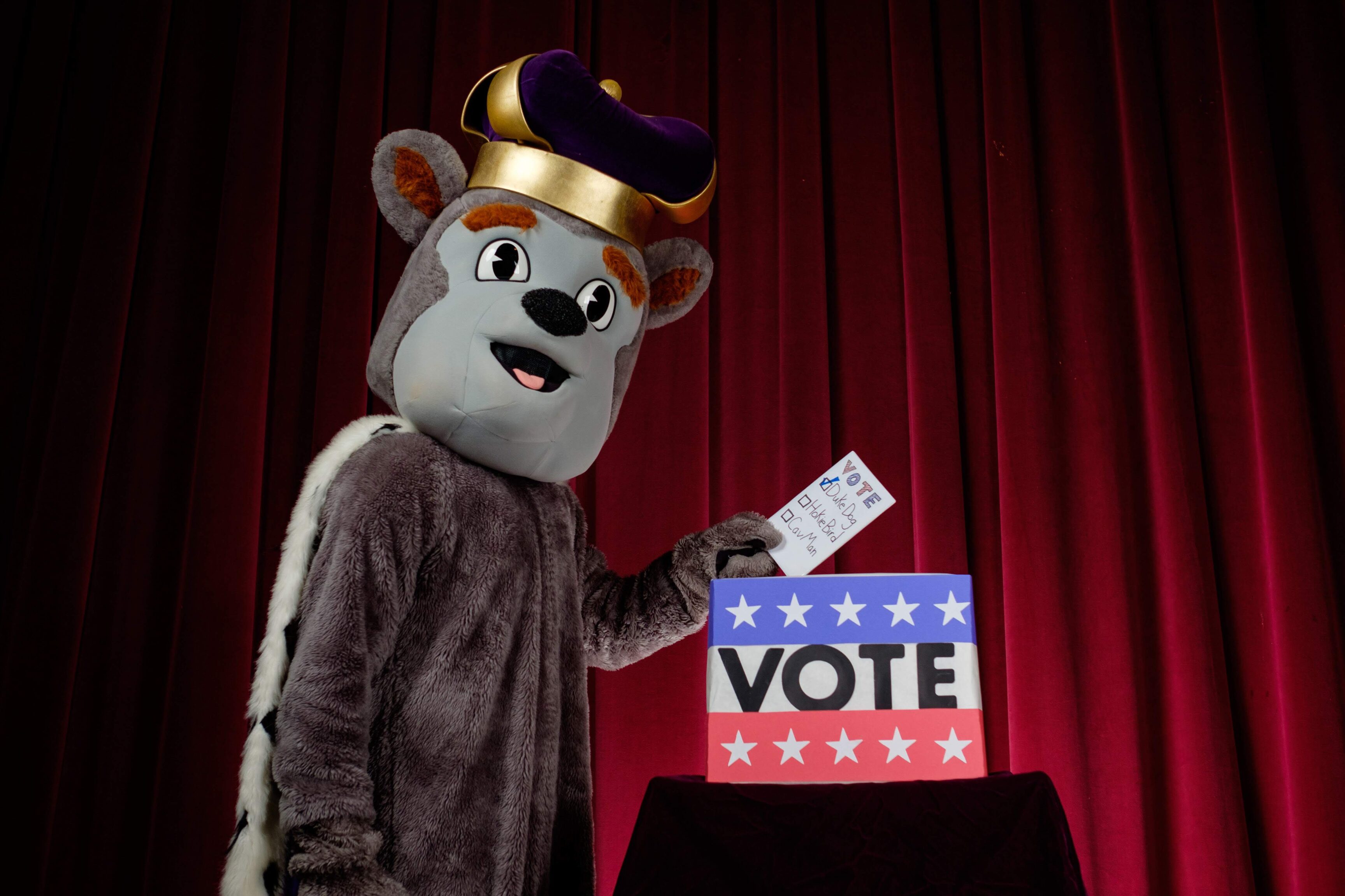 duke dog voting