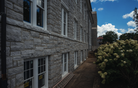 photo of carrier library's exterior from the breeze