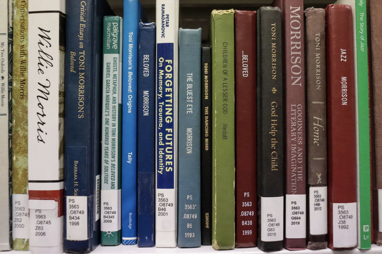 library books (file photo from The Breeze)