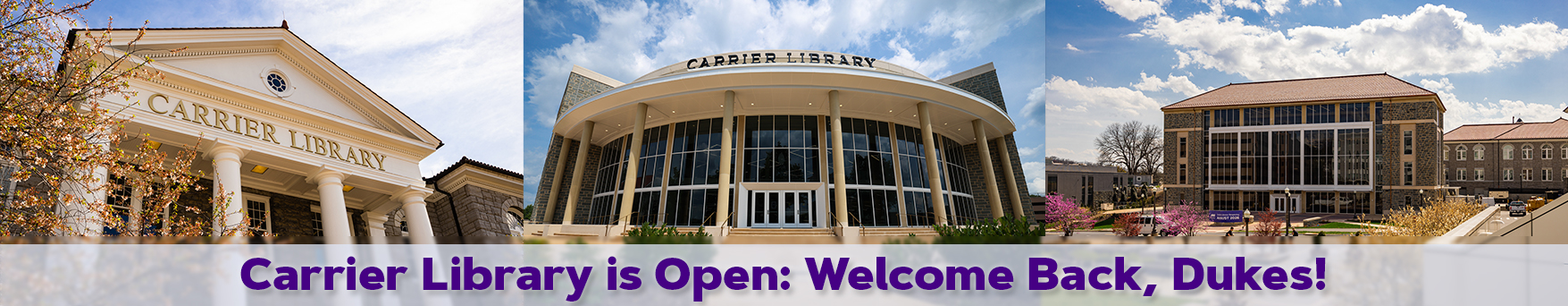 Carrier Banner w-Text V4 carrier's three entrances