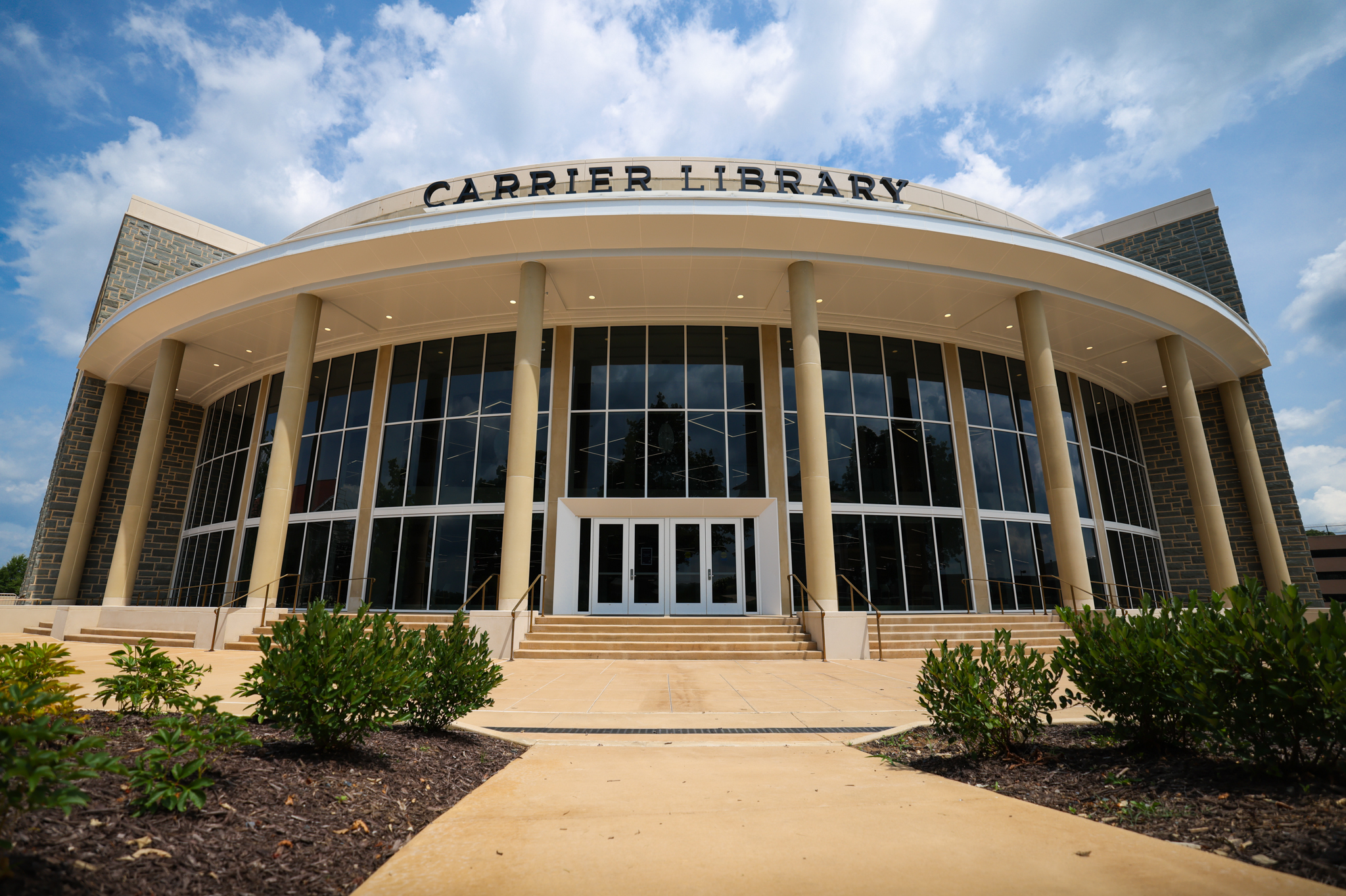 the south entrance of the new carrier library
