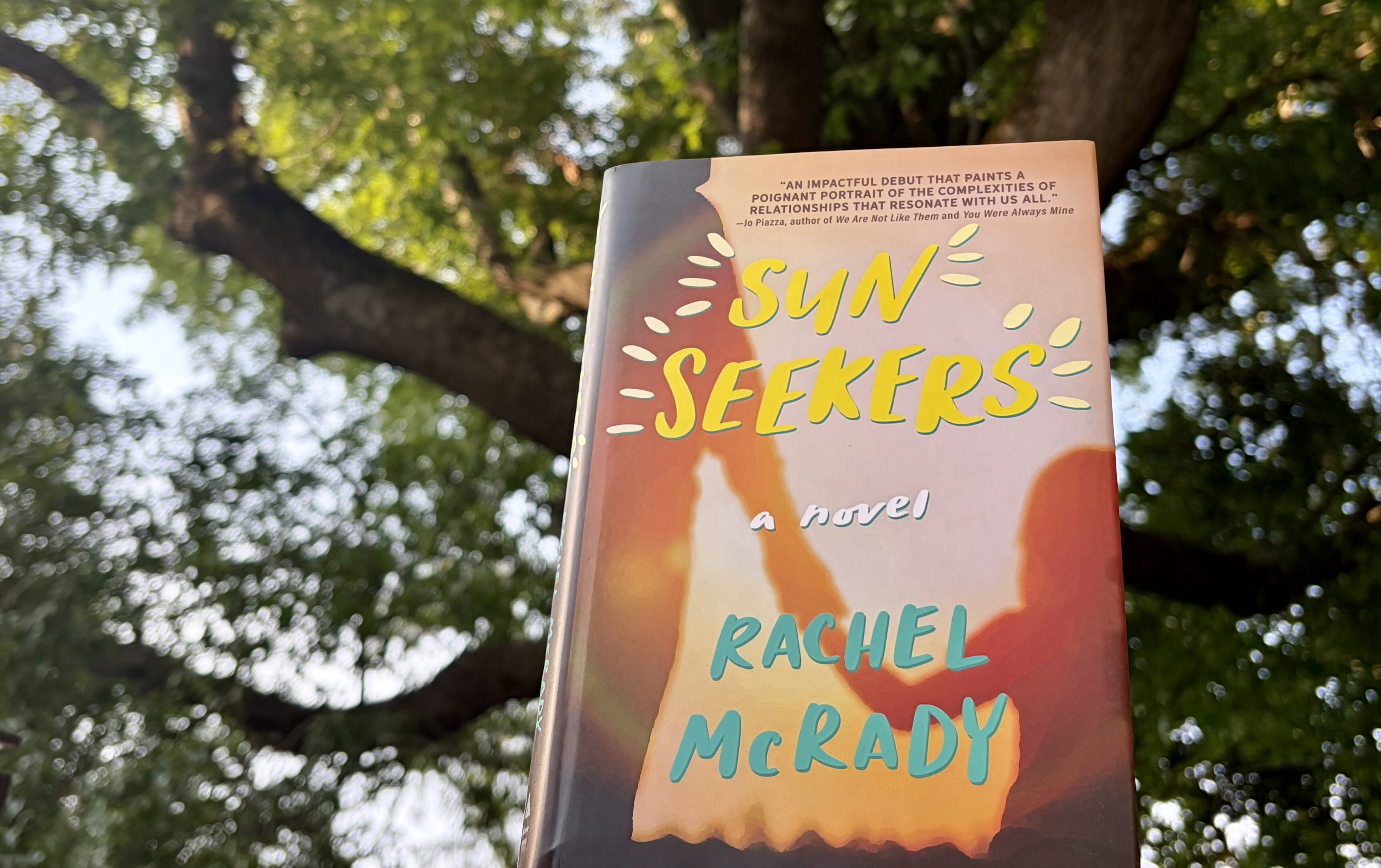 sun seekers book in front of a tree lit by the evening sun