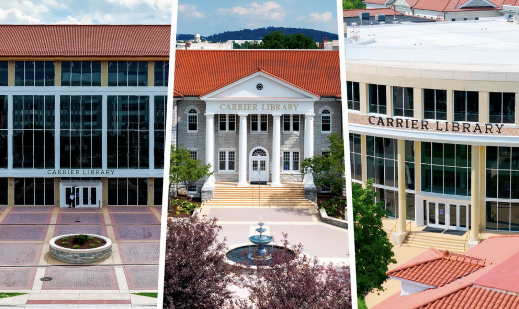 photo montage of carrier's three entrances